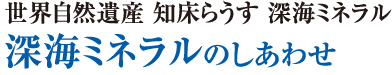 サーバー・メンテナンスも自社で実施。